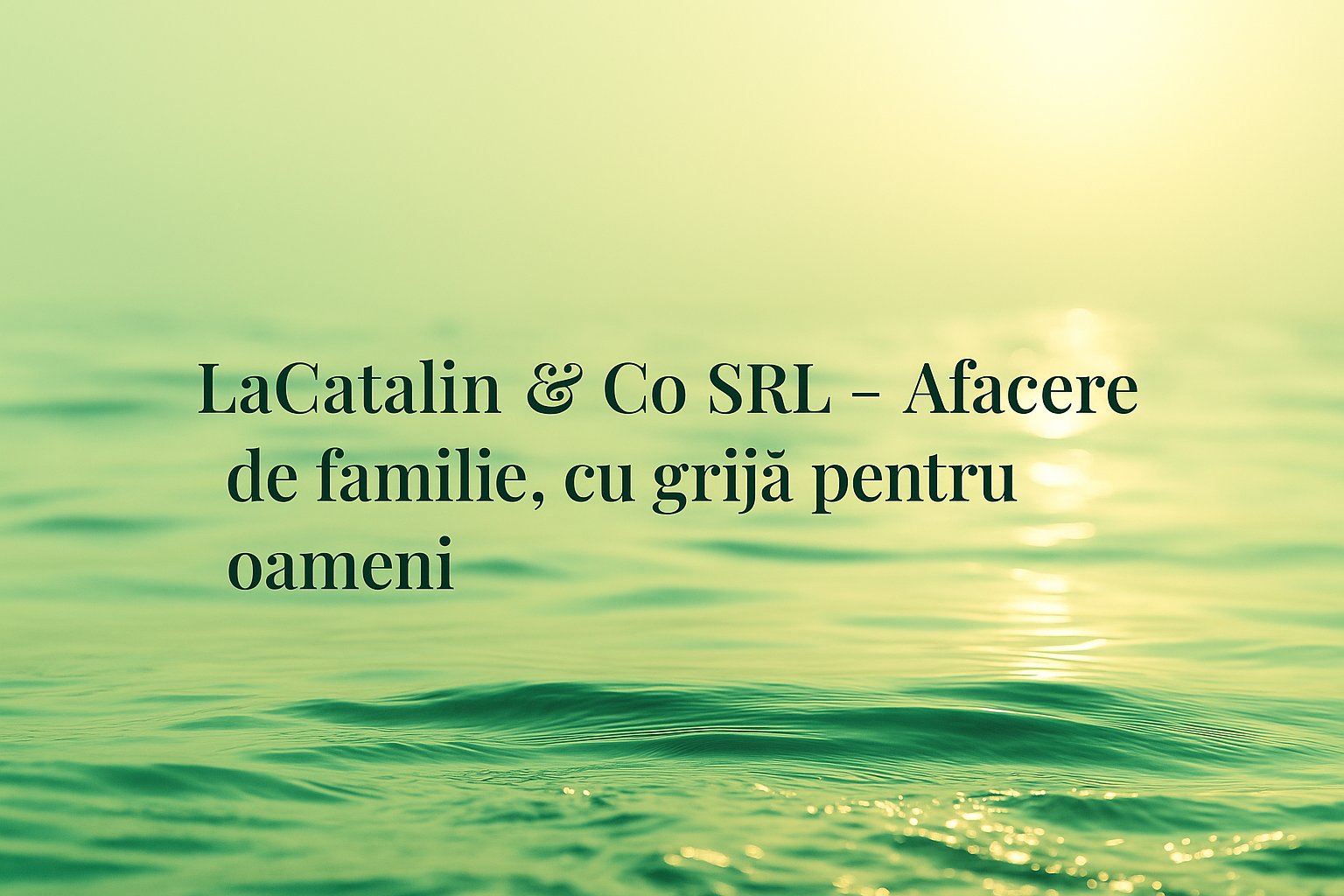 Copertă Despre Noi – LaCatalin & Co SRL